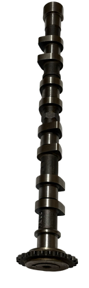 Árbol de Levas Escape Río 1.4