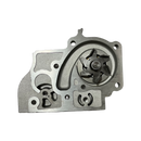 Bomba de Agua Carens