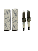 Bujías Iridium Tivoli G16