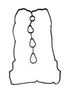 Empaque de Válvulas Tivoli G16