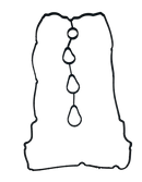 Empaque de Válvulas Tivoli G16