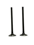 Válvula Admisión Tivoli D16