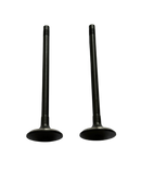 Válvula Admisión Tivoli D16