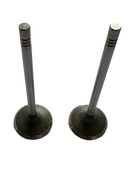 Válvula Admisión Tivoli G16