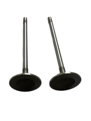 Válvula Admisión Tivoli G16