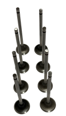 Válvula de Escape New Actyon G20