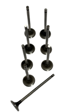 Válvula de Escape New Actyon G20