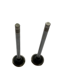 Válvula Escape Tivoli D16