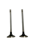 Válvula Escape Tivoli G16