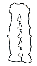 Empaque de Válvulas / Kyron D20/D27