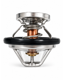 Termostato Actyon D20 / D27