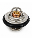 Termostato Actyon D20 / D27
