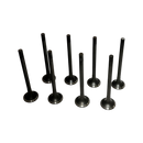 Juego Válvulas escape Winstorm