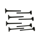 Juego Válvulas admisión Winstorm