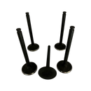 Juego Válvulas Admisión Rexton D29